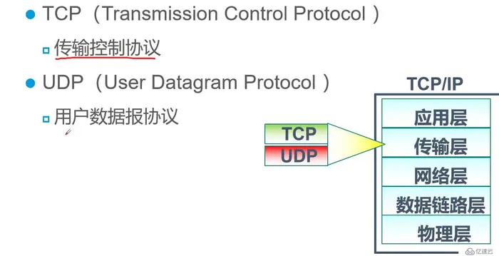 传输层协议介绍、重要的TCP三次/四次挥手