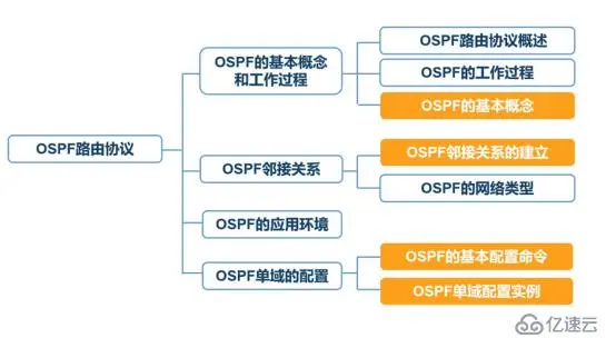 动态路由——ospf协议