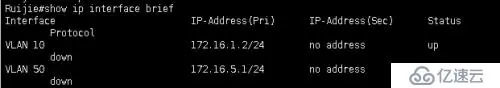 OSPF 基本配置