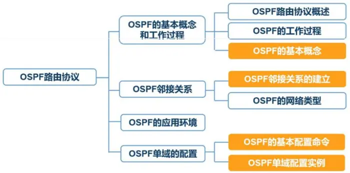 OSPF路由协议 理论讲解