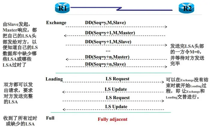 计算机网络知识点——9.网络层之OSPF协议