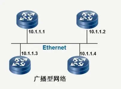 ospf的四种网络类型