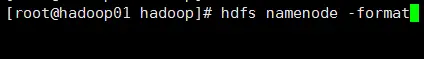 HDFS伪分布式集群搭建