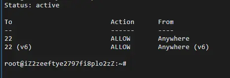 使用阿里云Ubuntu 系统的小坑--通过公网IP或者EIP访问实例需要在实例安全组白名单中增加 Workbench的服务器公网白名单