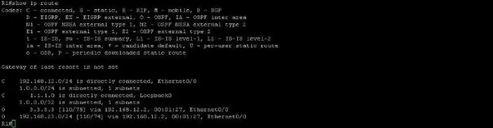 配置单区域的OSPF协议