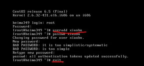 Linux系统的安装（基于VMware虚拟机软件）