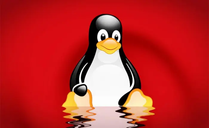 Linux为程序员添加了行为准则