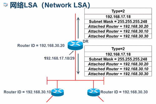 理论篇·动态路由协议---链路状态协议OSPF【下半部分】