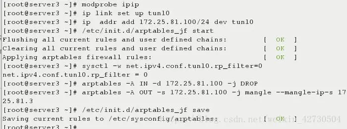 通过IP隧道实现虚拟服务器（VS/TUN）