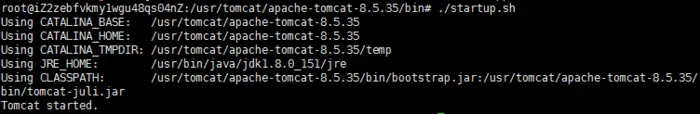 在阿里云Linux上启动Tomcat但无法访问问题