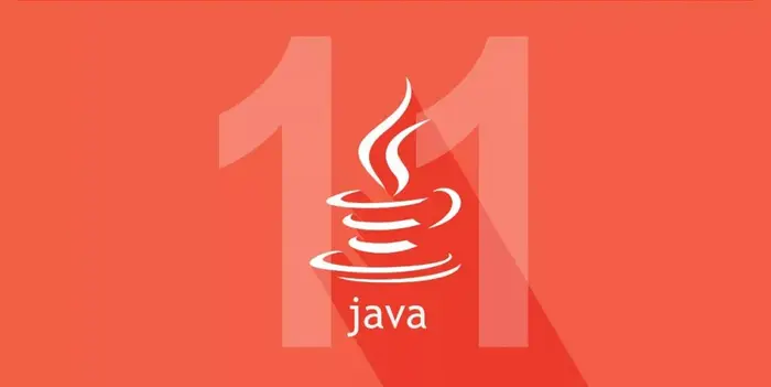 Java 11 中 11 个不为人知的瑰宝