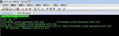 使用SecureCRT的SFTP将大发888源码下载文件上传到Liunx系统上