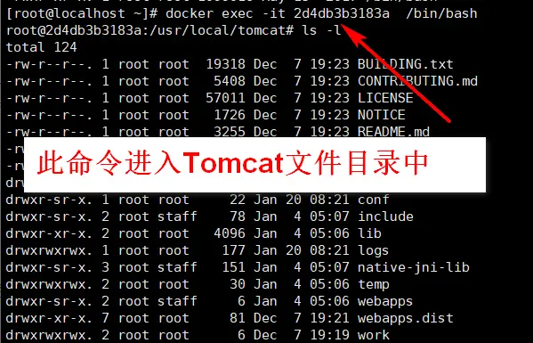 Docker中启动Tomcat外部访问报HTTP Status 404 – 未找到