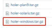 内网穿透使用holer让外网访问本地windows下nginx部署的web项目
