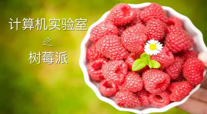 计算机实验室之树莓派：课程 6 屏幕01 | Linux 中国