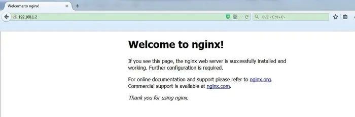 构建Nginx服务器之一 安装及虚拟主机配置