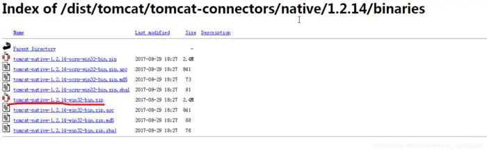 springboot2.0启动报错The APR based Apache Tomcat Native library which allows optimal performance in ...