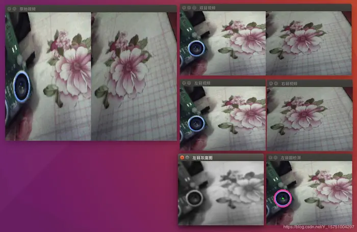 Ubuntu下读取CHUSEI 3D Webcam 双目摄像头C++版本（调用python脚本进行配置）