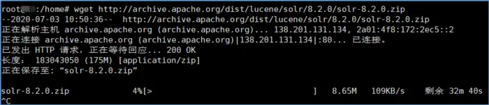 Apache Solr JMX服务 RCE 漏洞复现
