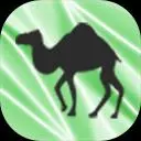 CamelFileManagerC数据库的可视化开发工具