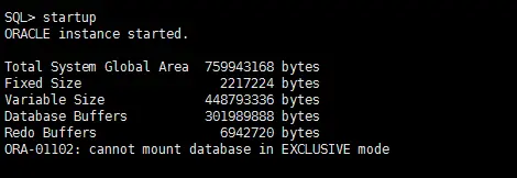 小白爬坑的第一天：Oracle数据库版本11g在Linux无图形界面下的静默安装。