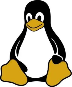 记一次linux中简单的命令(一）