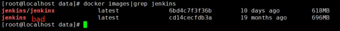 实现Jenkins docker部署，设置svn/maven/jdk/ssh，编写自动部署工程脚本