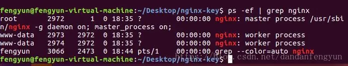 Ubuntu 16.04 下安装nginx