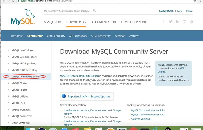 Mac安装MySQL及设置初始密码