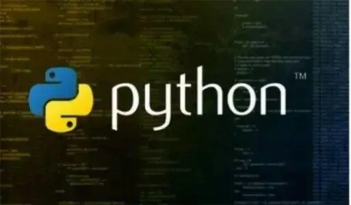手机上有没有学python的软件-如何优雅的在手机上进行Python编程