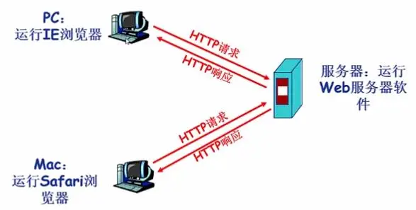 应用层-1、三种网络体系结构