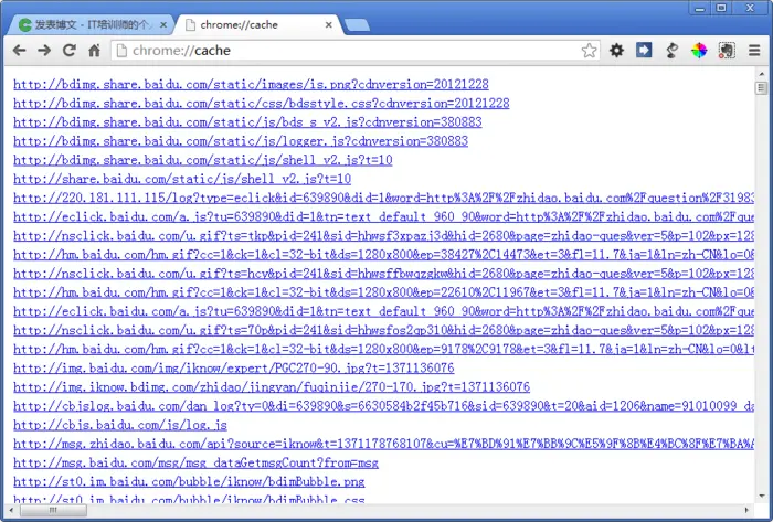 查看Chrome浏览器缓存的方法