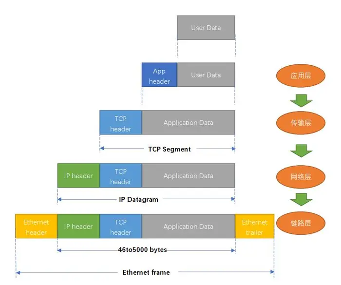 TCP/IP 协议族，与OSI七层模型对比