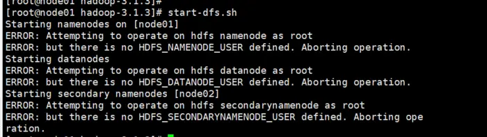 完美解决Hadoop3搭建是出现的坑———使用hdfs namenode -format格式化成功，但启动失败