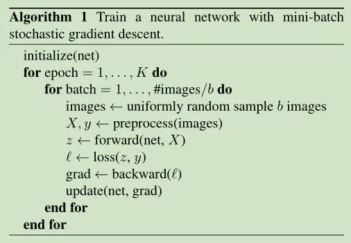 《Bag of Tricks for Image Classification with Convolutional Neural Networks》论文阅读笔记