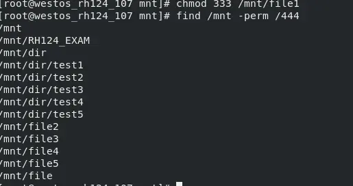 RH135.一.Linux存储的基本管理