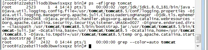 Linux下安装tomcat和jdk