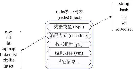 详细讲解redis数据结构（内存模型）以及常用命令