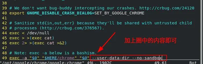 linux 操作系统中的谷歌浏览器google chrome打不开怎么解决