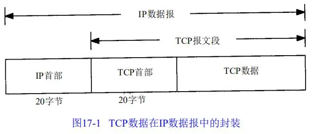 速读原著-TCP/IP(TCP的首部)