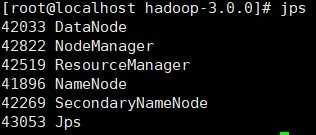 hadoop安装启动配置，单机模式