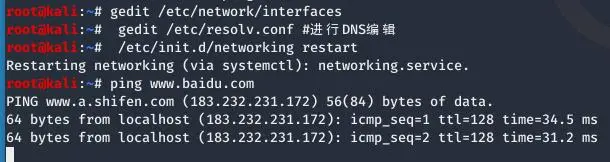 linux/kali NAT网络连接修复