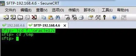 使用SecureCRT的SFTP将大发888源码下载文件上传到Liunx系统上