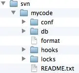 Mac 搭建svn服务器环境