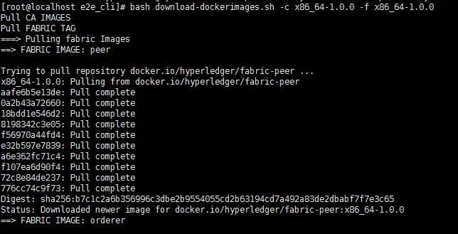 Hyperledger Fabric V1.0 学习笔记（二） 快速启动一个Fabric网络