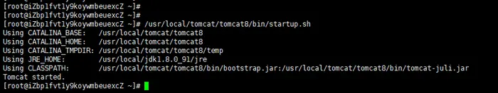 linux系统CentOs 7环境下安装Tomcat8