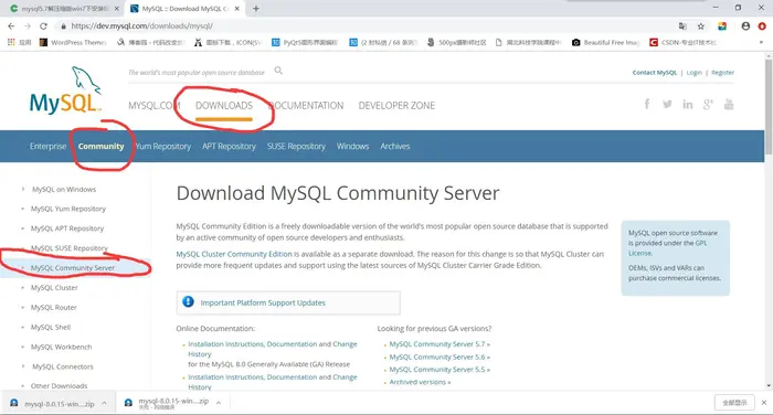 MySQL下载方法及Windows 64 位 mysql 8.0以上版本包解压中没有data目录和my-default.ini和my.ini文件以及服务无法启动的解决办法以及修改初始密码的方法